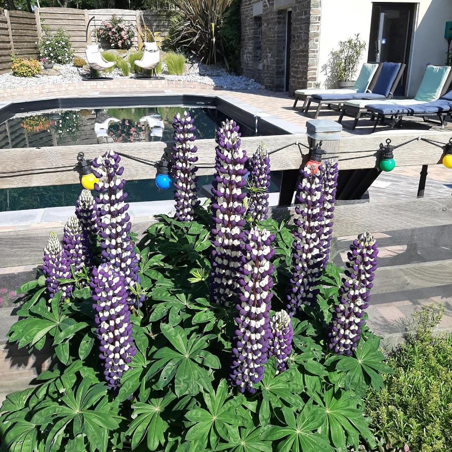 Le Val Daniniere B&B Adult Only Le Mesnil-Garnier ภายนอก รูปภาพ