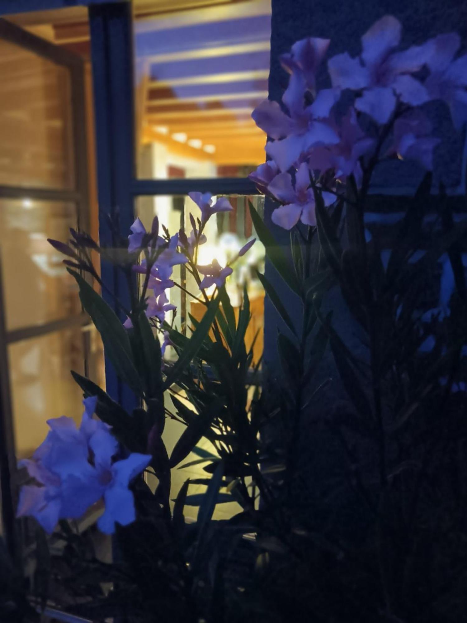 Le Val Daniniere B&B Adult Only Le Mesnil-Garnier ภายนอก รูปภาพ
